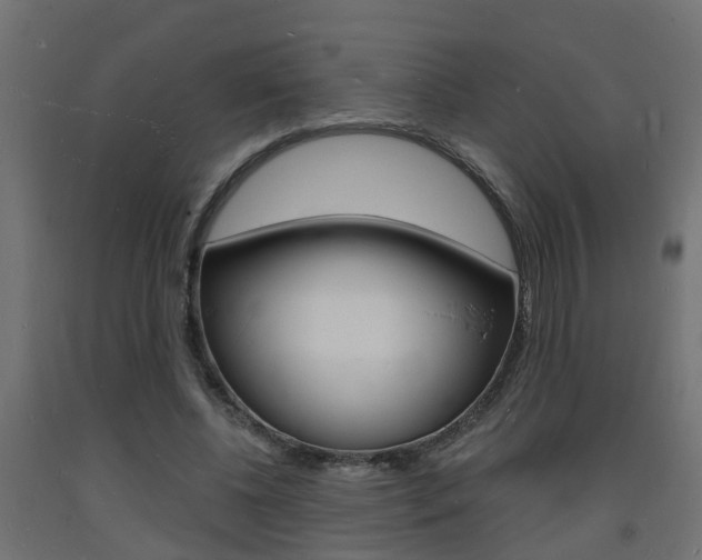 X0000093720540200710160753