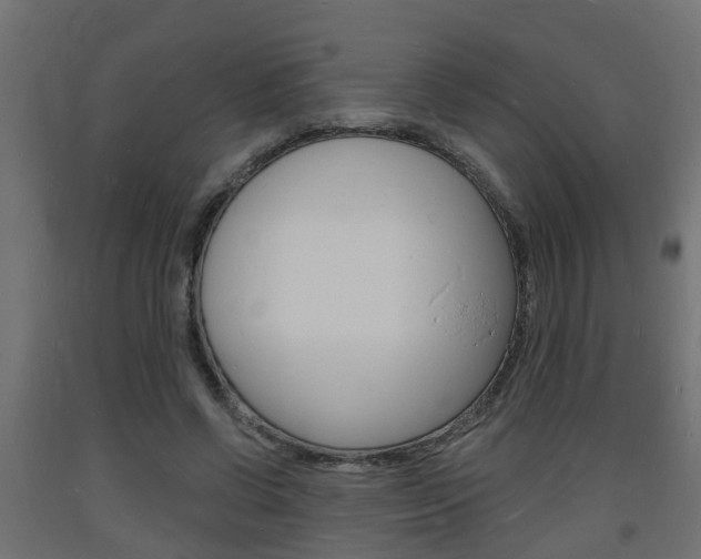 X0000093720542200710160753