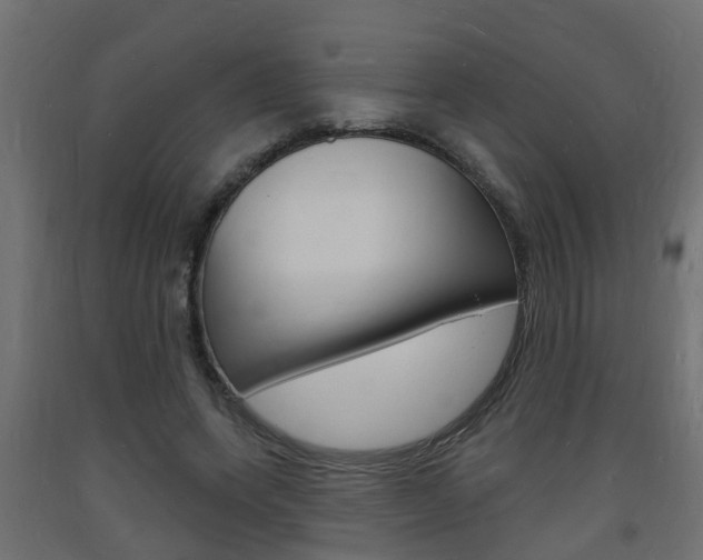 X0000093720543200710160753