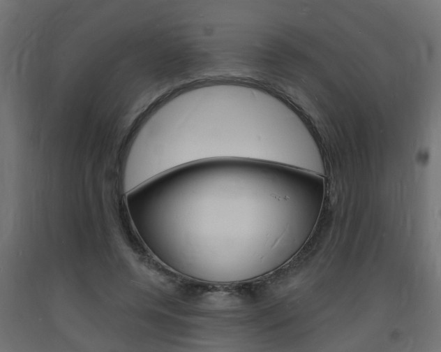 X0000093720544200710160753