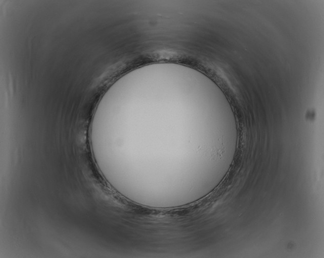 X0000093720545200710160753