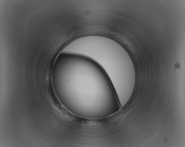 X0000093720546200710160753