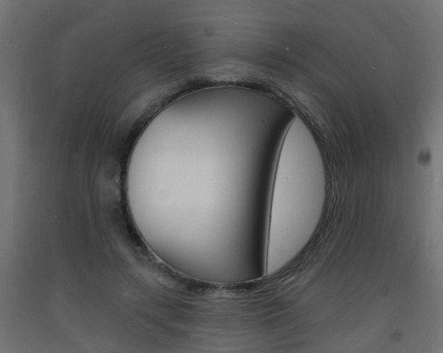 X0000093720547200710160753