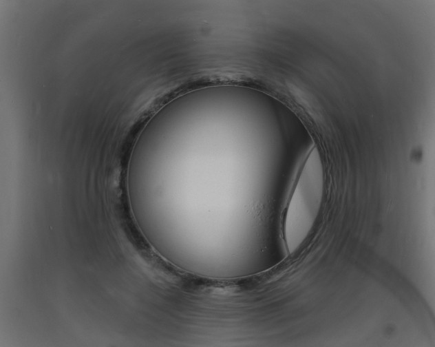 X0000093720548200710160753