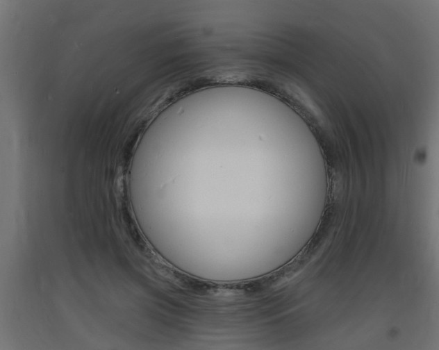 X0000093720549200710160753