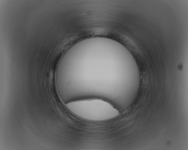 X0000093720550200710160753