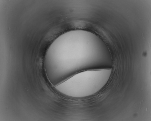 X0000093720551200710160753