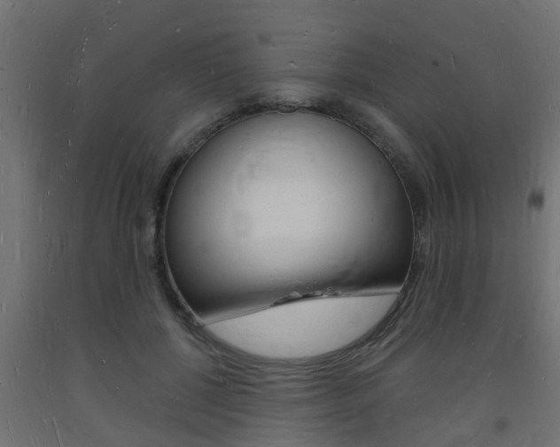 X0000093720552200710160753