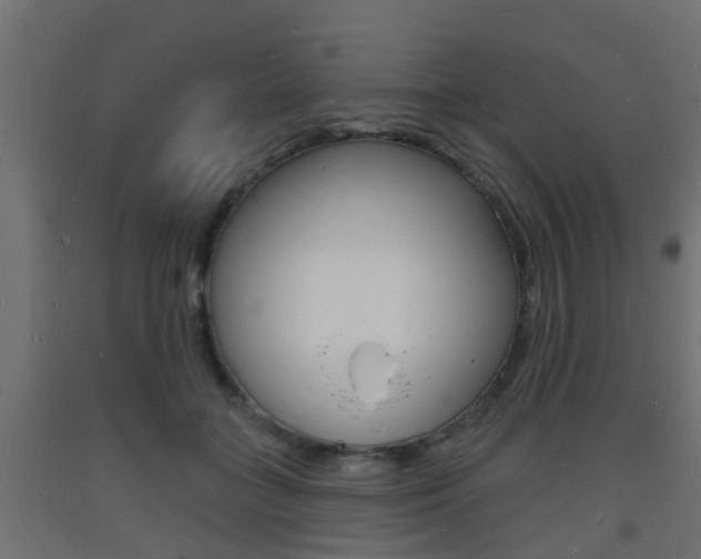 X0000093720555200710160753