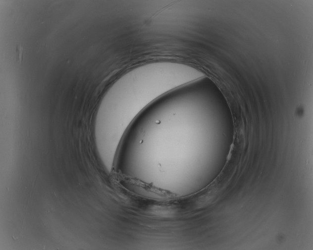 X0000093720556200710160753
