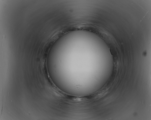 X0000093720558200710160753
