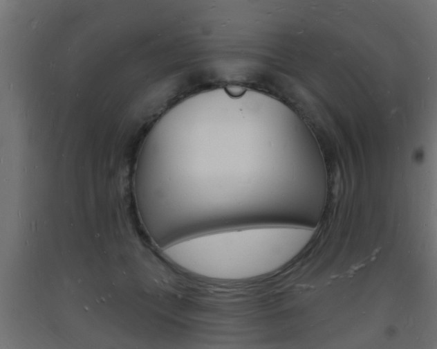 X0000093720559200710160753