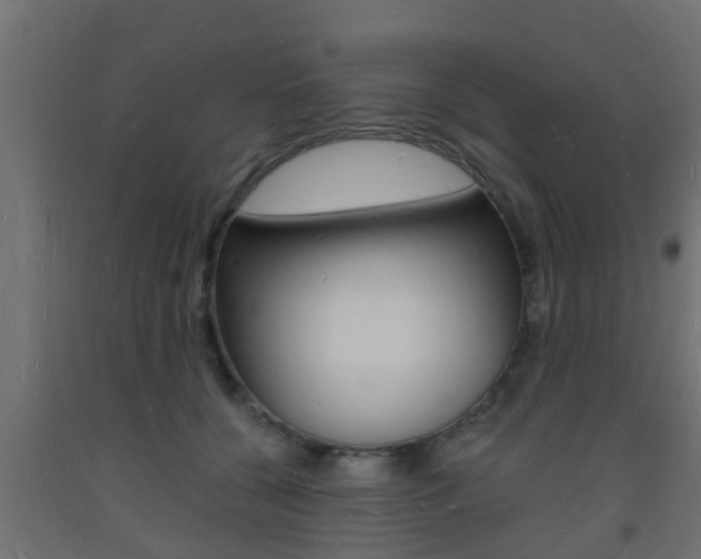 X0000093720560200710160753