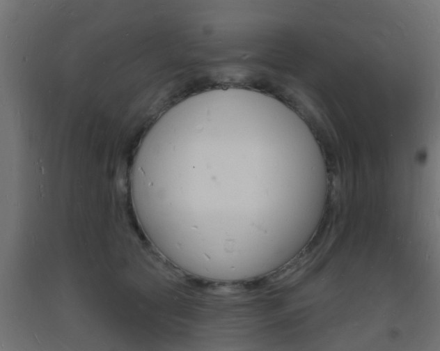 X0000093720561200710160753