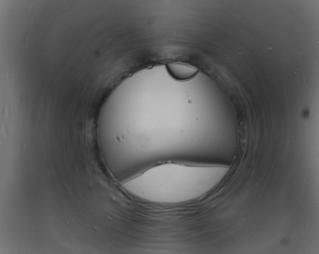 X0000093720563200710160753
