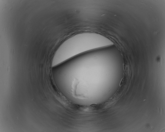 X0000093720564200710160753