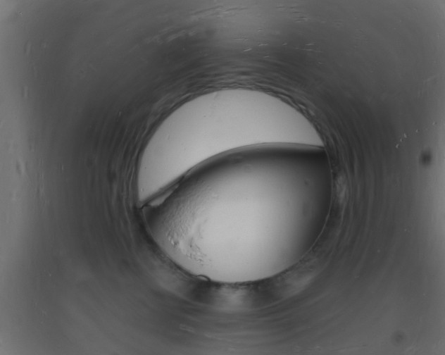 X0000093720570200710160753