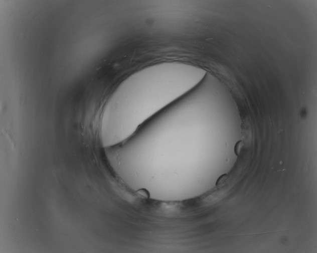 X0000093720573200710160753