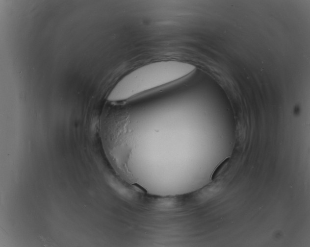 X0000093720574200710160753