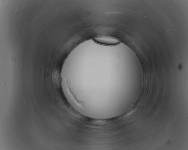 X0000093720575200710160753