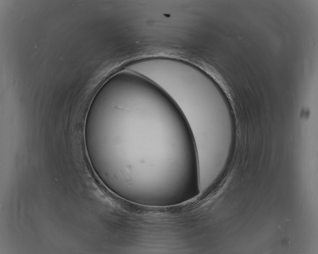 X0000093720577200710160753