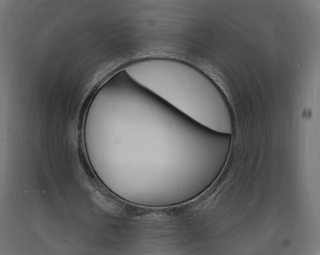 X0000093720578200710160753