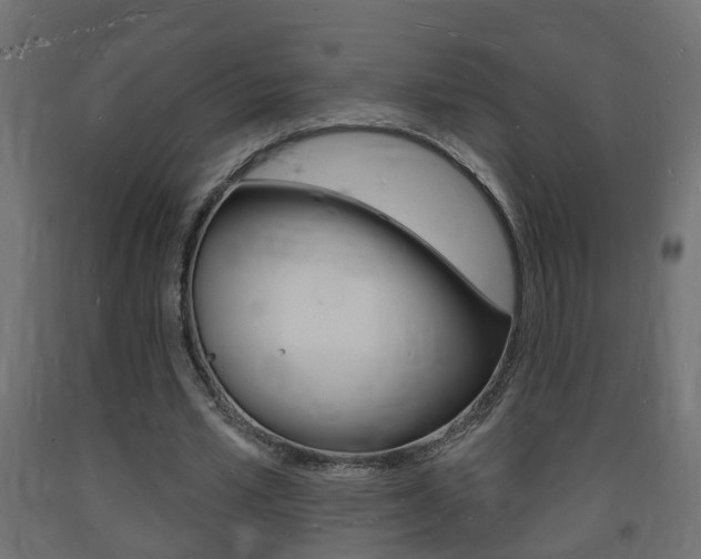 X0000093720581200710160753