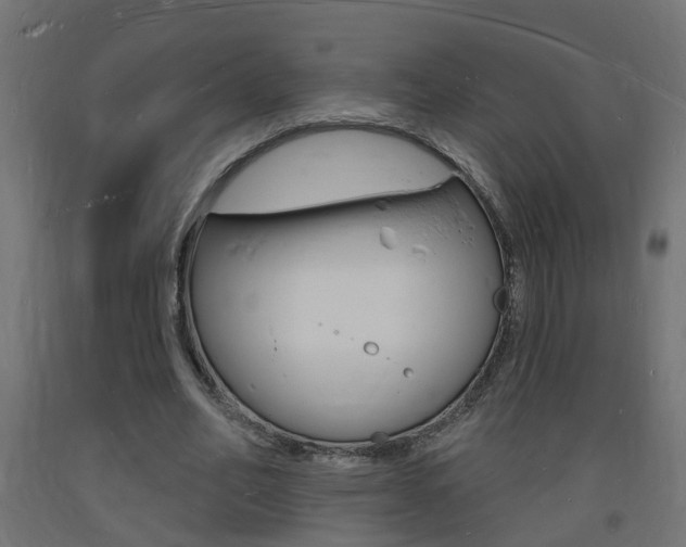 X0000093720582200710160753
