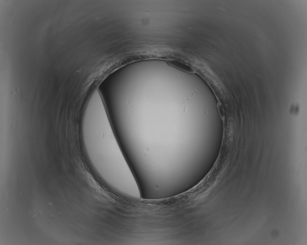 X0000093720585200710160753