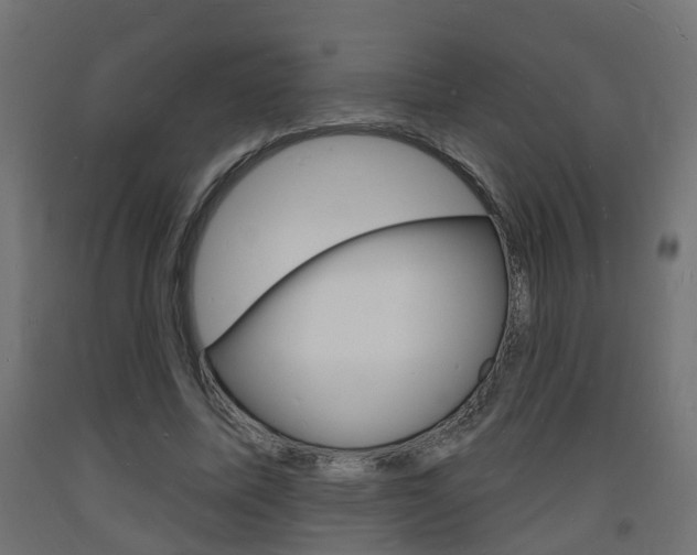 X0000093720587200710160753