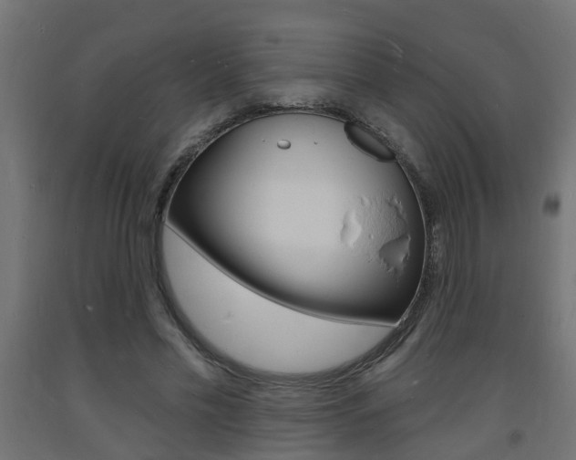 X0000093720589200710160753