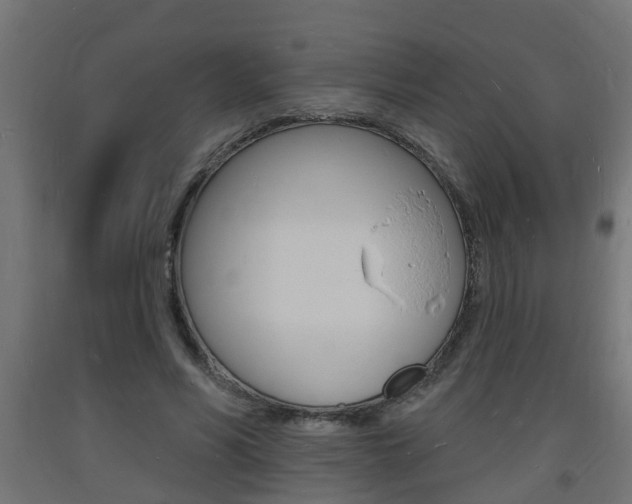 X0000093720590200710160752