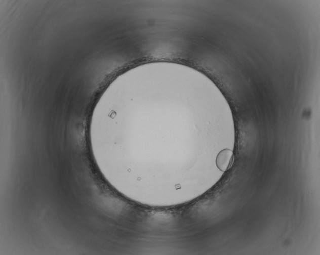 X0000093720592200710160752