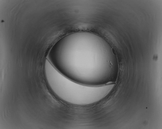 X0000093720593200710160752