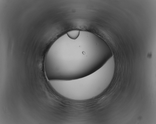 X0000093720595200710160752