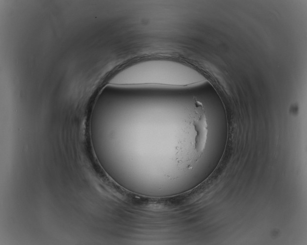 X0000093720596200710160752