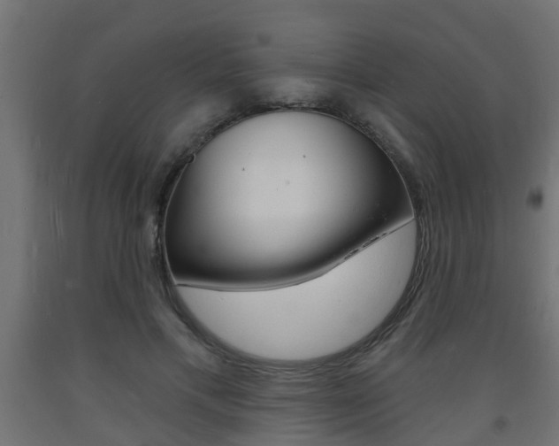 X0000093720597200710160752