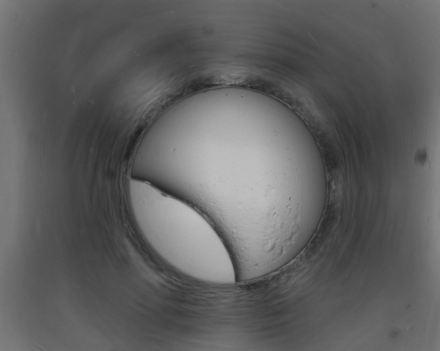 X0000093720598200710160752