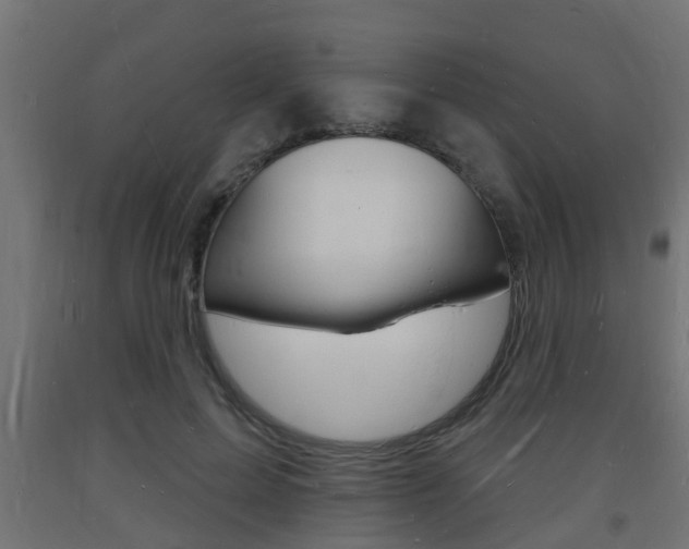 X0000093720599200710160752