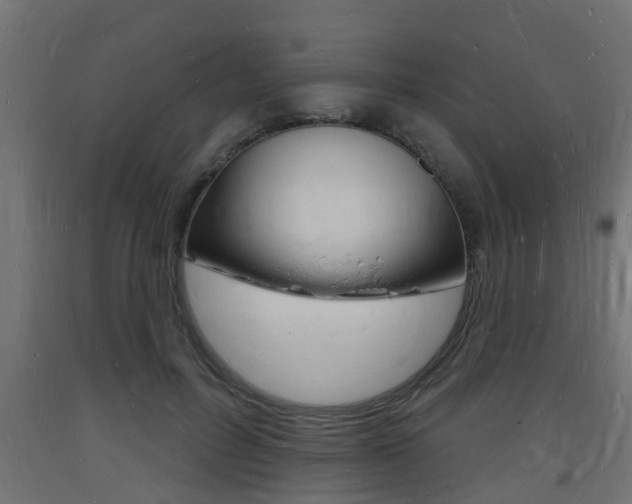X0000093720600200710160752