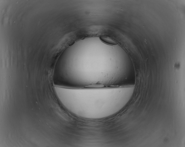 X0000093720601200710160752