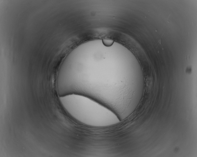 X0000093720602200710160752