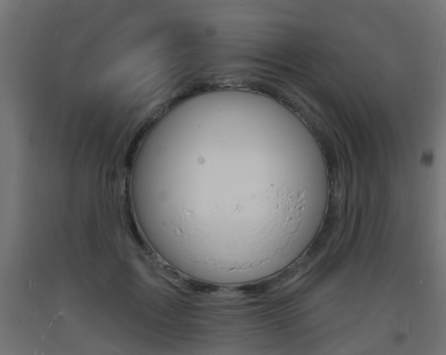 X0000093720603200710160752