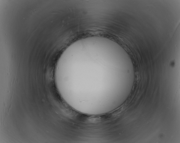 X0000093720606200710160752