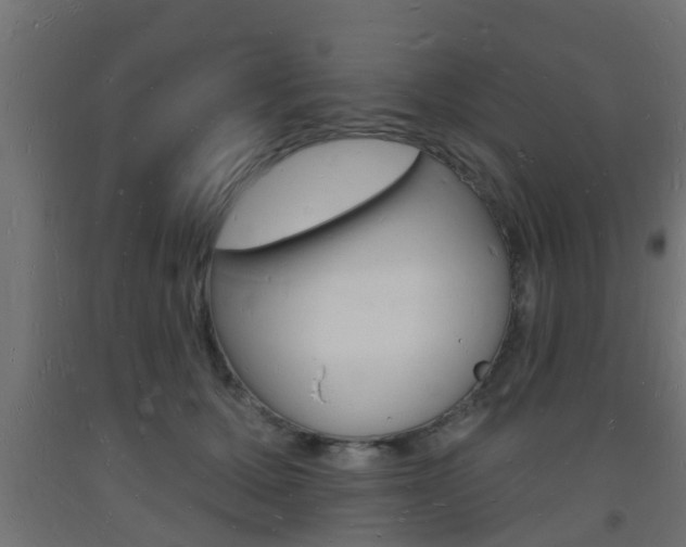 X0000093720607200710160752