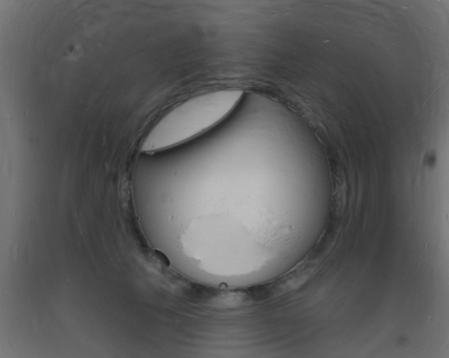 X0000093720609200710160752