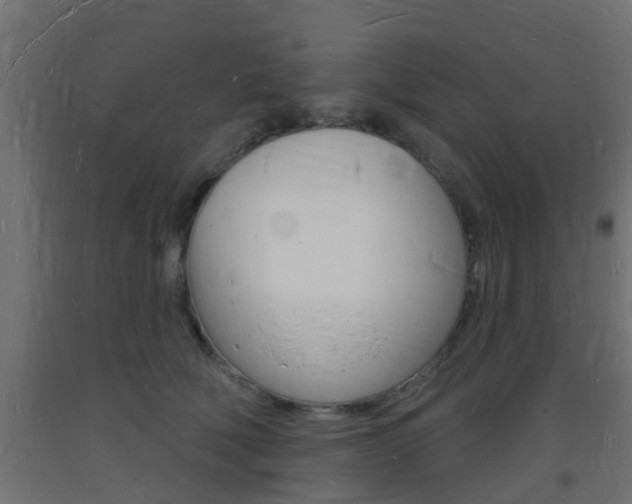 X0000093720610200710160752