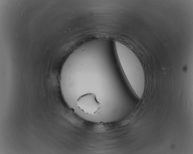 X0000093720616200710160752