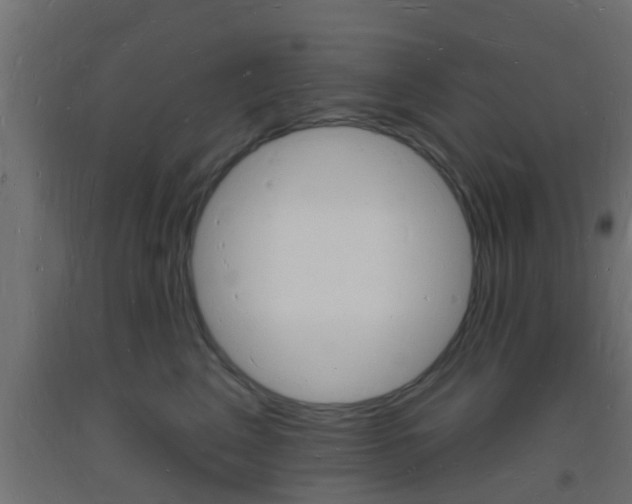 X0000093720617200710160752
