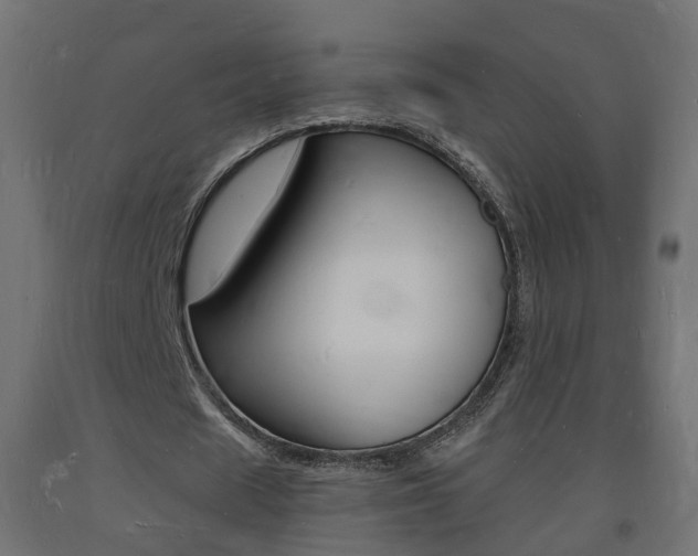 X0000093720625200710160751